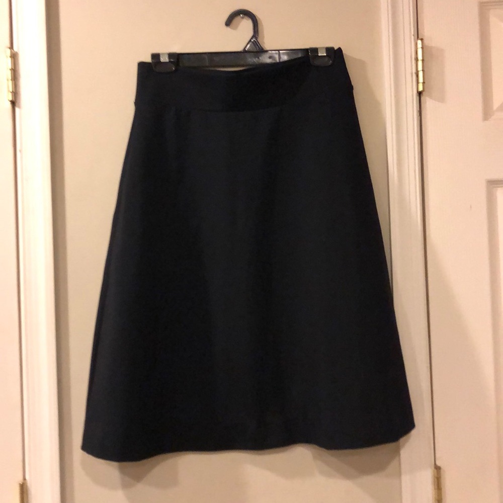 Dark navy ( almost black) skirt